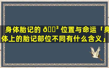 身体胎记的 🐳 位置与命运「身体上的胎记部位不同有什么含义」